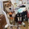 まおのりさんのプロフィール画像
