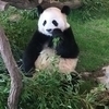 シゲさんのプロフィール画像