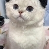 ももさんのプロフィール画像