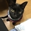 くろみつさんのプロフィール画像