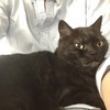 ねりっちさんのプロフィール画像
