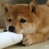 まるゆーさんのプロフィール画像