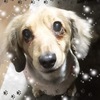 Meiyaさんのプロフィール画像