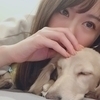 あちゃこさんのプロフィール画像