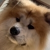 纏屋さんのプロフィール画像
