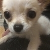 J K P KSさんのプロフィール画像