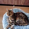 りゅうさんのプロフィール画像