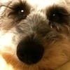 BACHIさんのプロフィール画像