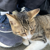 せさんのプロフィール画像