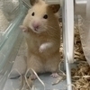 佐藤さんのプロフィール画像