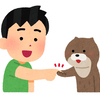 なおさんのプロフィール画像