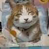 コトリンさんのプロフィール画像