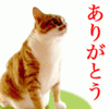 ひざきさんのプロフィール画像