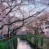 Hiroさんのプロフィール画像