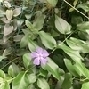 篠さんのプロフィール画像