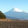 estsportさんのプロフィール画像