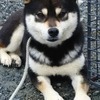 わかちゃんさんのプロフィール画像