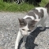 くろねこさんのプロフィール画像