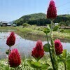 のんのんさんのプロフィール画像