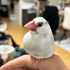かどっちさんのプロフィール画像