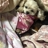 こうのすけさんのプロフィール画像