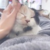 いもむしさんのプロフィール画像
