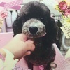 カゴメカゴメさんのプロフィール画像