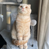 kouさんのプロフィール画像
