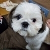 ノッコさんのプロフィール画像