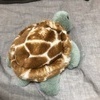 もっちさんのプロフィール画像