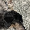 やっちゃんさんのプロフィール画像