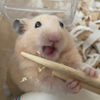みほさんのプロフィール画像