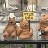 飛鳥さんのプロフィール画像
