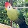 まささんのプロフィール画像