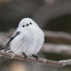 かっちさんのプロフィール画像