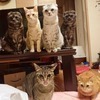 やまうち　えみさんのプロフィール画像