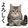 ファンドラさんのプロフィール画像