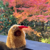 REIさんのプロフィール画像