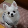 Arrow‘zさんのプロフィール画像