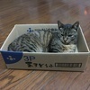 まるさんのプロフィール画像