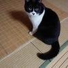 ぶっちゃん☆さんのプロフィール画像