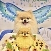 ちっちくんさんのプロフィール画像