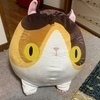 らびんさんのプロフィール画像