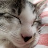 ヤスくんですよさんのプロフィール画像