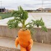 春子たんさんのプロフィール画像