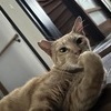 たけまろさんのプロフィール画像