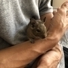 umさんのプロフィール画像