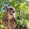 づっきさんのプロフィール画像