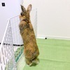 あっきーさんのプロフィール画像