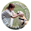 愛と愉快な保護猫たちさんのプロフィール画像